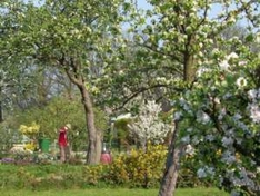 Bauernhofferien mit Kräutererlebnis