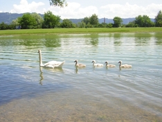 Die Schattenburg in Feldkirch