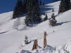 Hirschegg in Vorarlberg