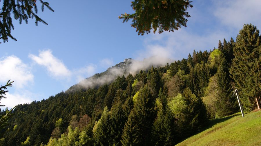 Gurtisspitze in Nenzing, Vorarlberg, with the Pultlift in the foreground