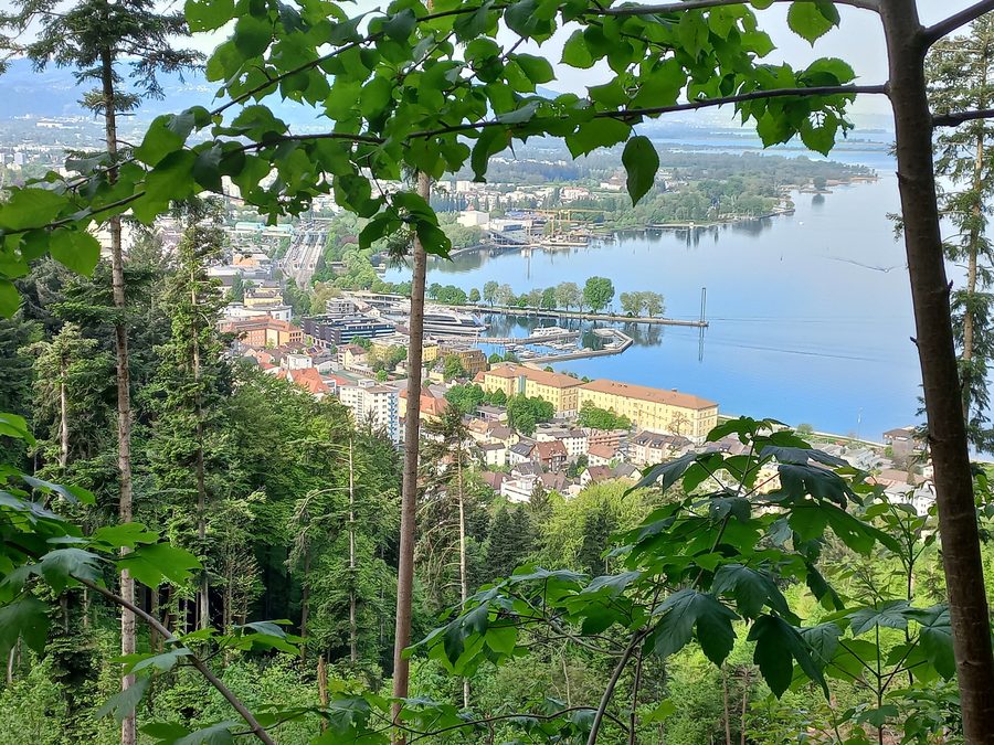 Blick vom Pfänder auf Bregenz, den Hafen und den Bodensee