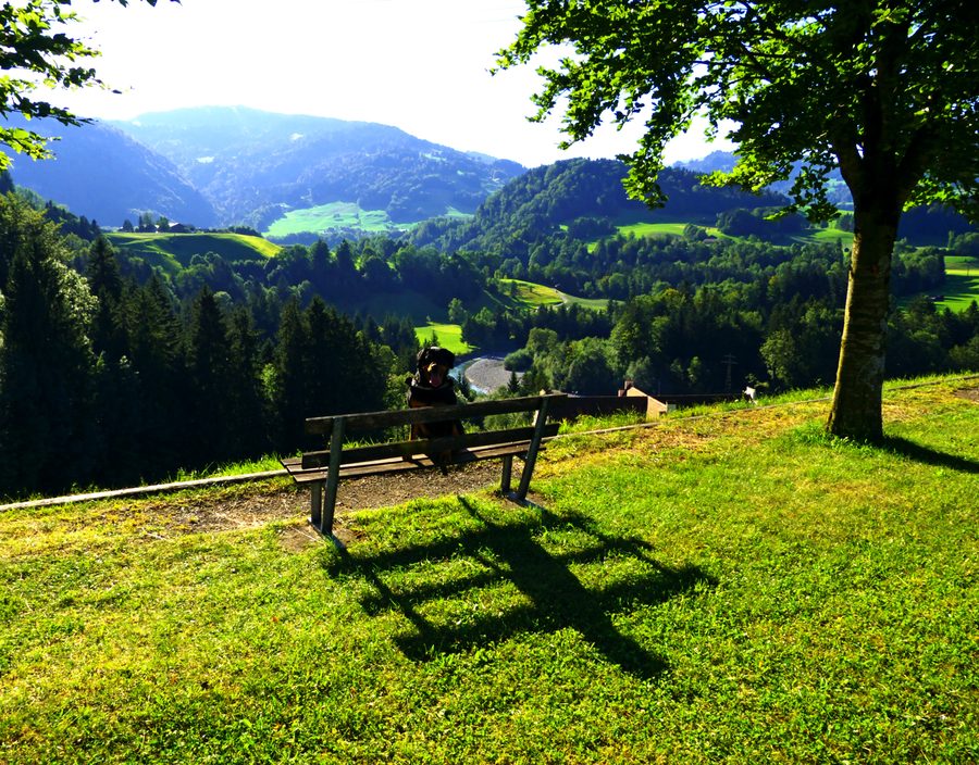 Kraftwerk Andelsbuch in der Landschaft