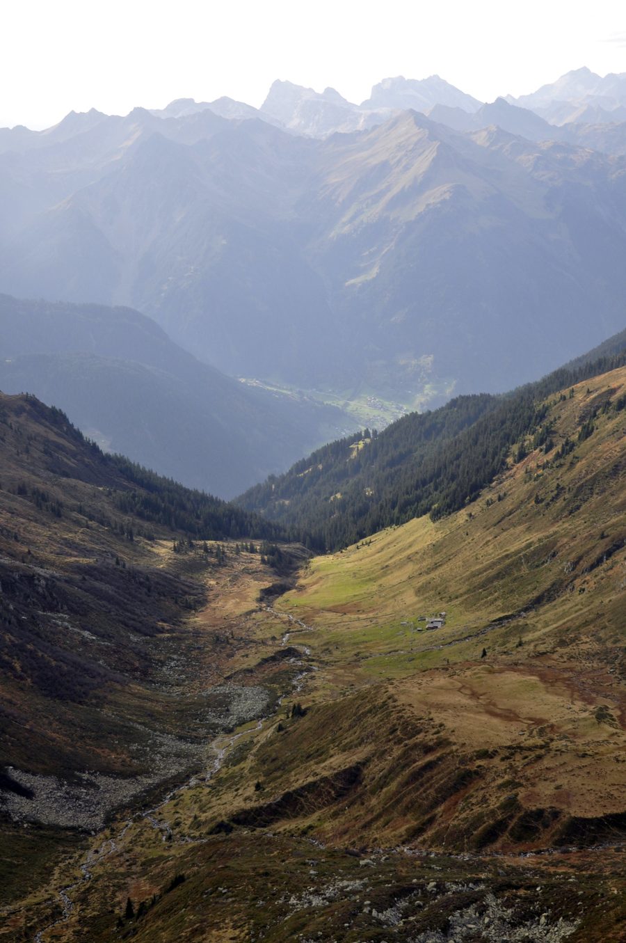 Alpe Netza in der alpinen Landschaft von Sankt Gallenkirch im Montafon