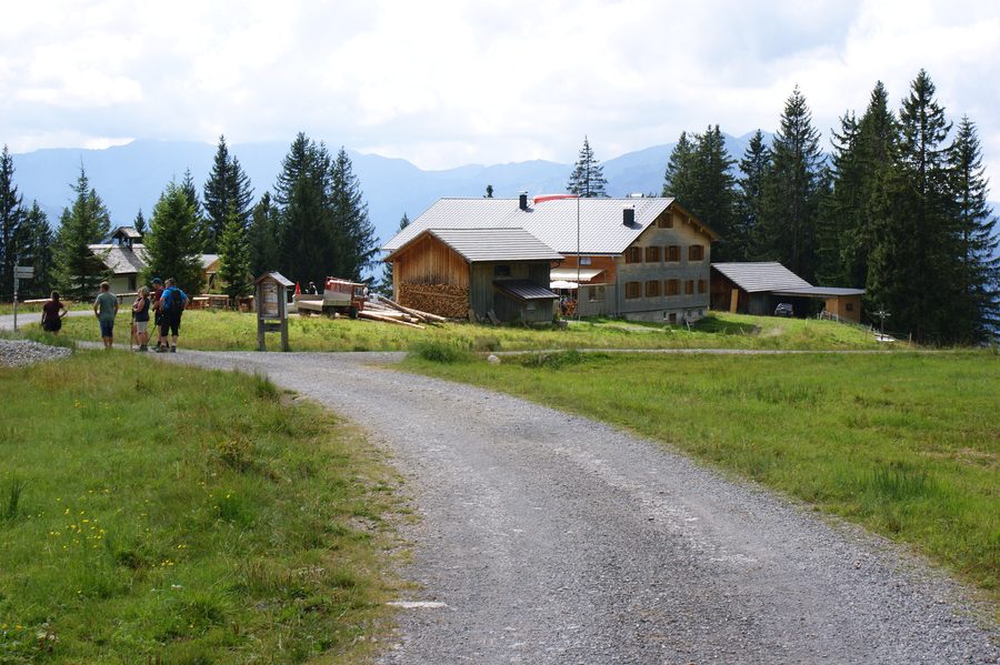 Alpe Kassa Wildmoos in der Gemeinde Bezau im Bregenzerwald