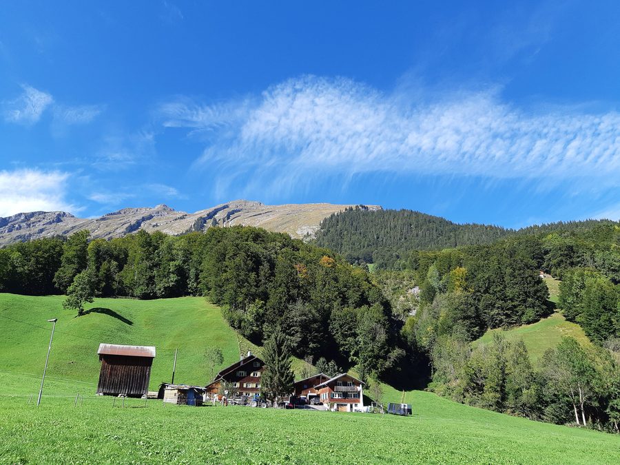 Blick auf Au im Bregenzerwald mit der Kanisfluh im Hintergrund
