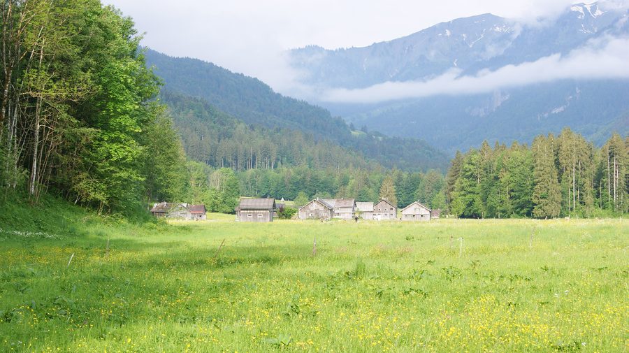 Engevorsäß bei Schnepfau in Vorarlberg