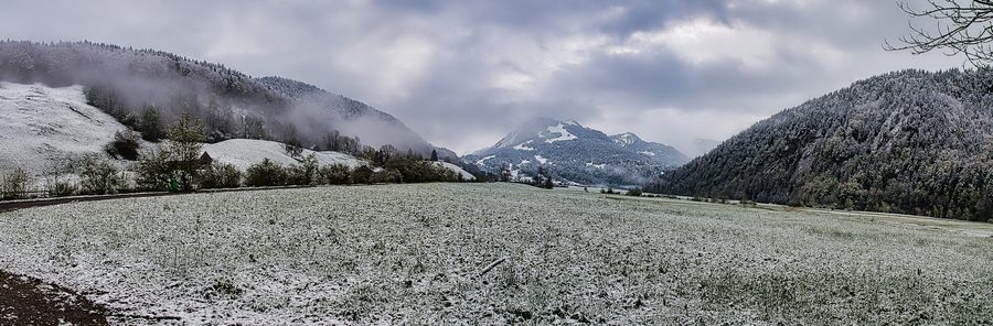 Moorlandschaft im Schutzgebiet Im Moor Bizau