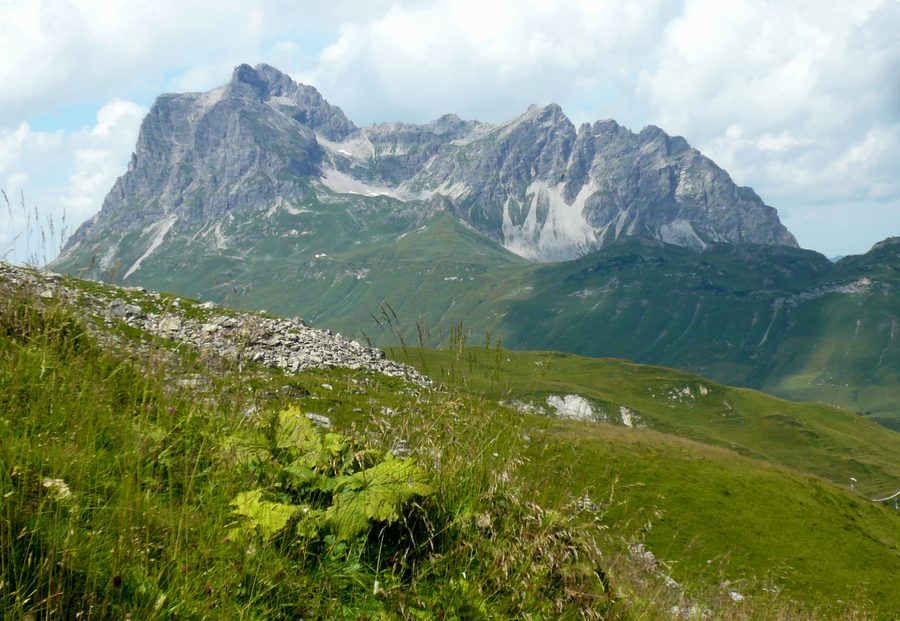 Südflanke des Großen und Kleinen Widdersteins oberhalb der Steffisalp in Warth