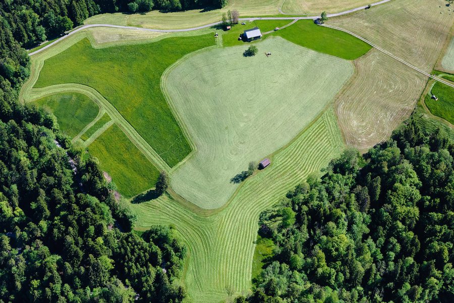 Luftbild von Wiesen und landwirtschaftlich genutzter Kulturlandschaft in Lingenau