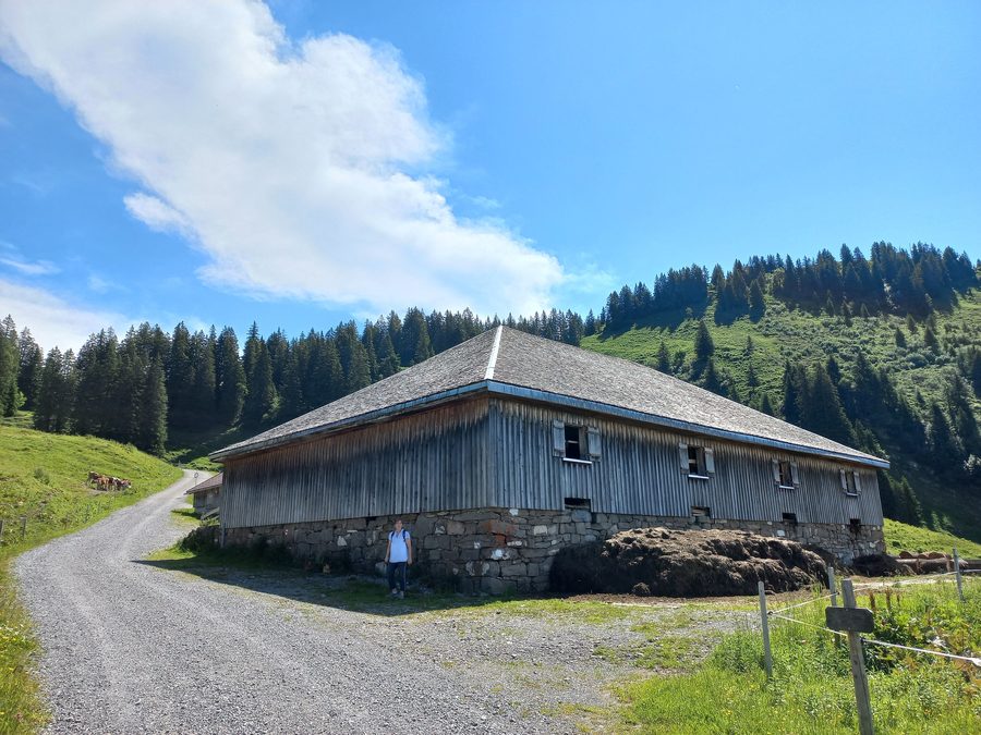 Alpe Gapfohl im Skigebiet Laterns-Gapfohl mit dem Hohen Falben im Hintergrund