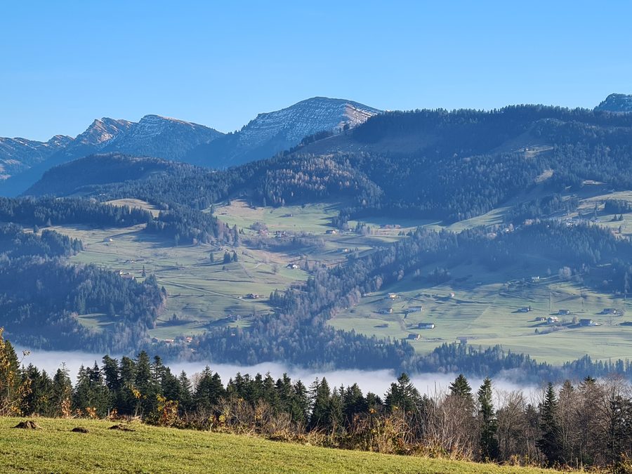 Riefensberg vor bewaldeten Bergen und dem nebligen Weißachtal