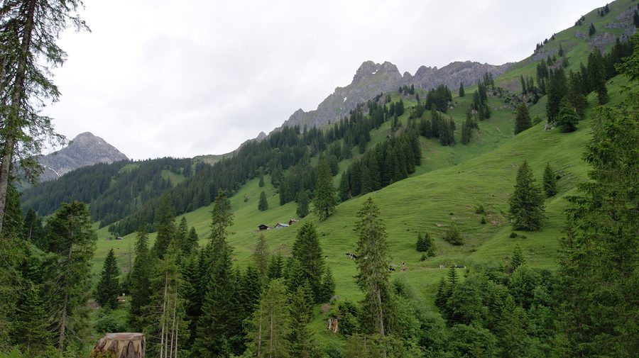 Blick durch das Rellstal bei Vandans auf den Saulakopf und die Zimba