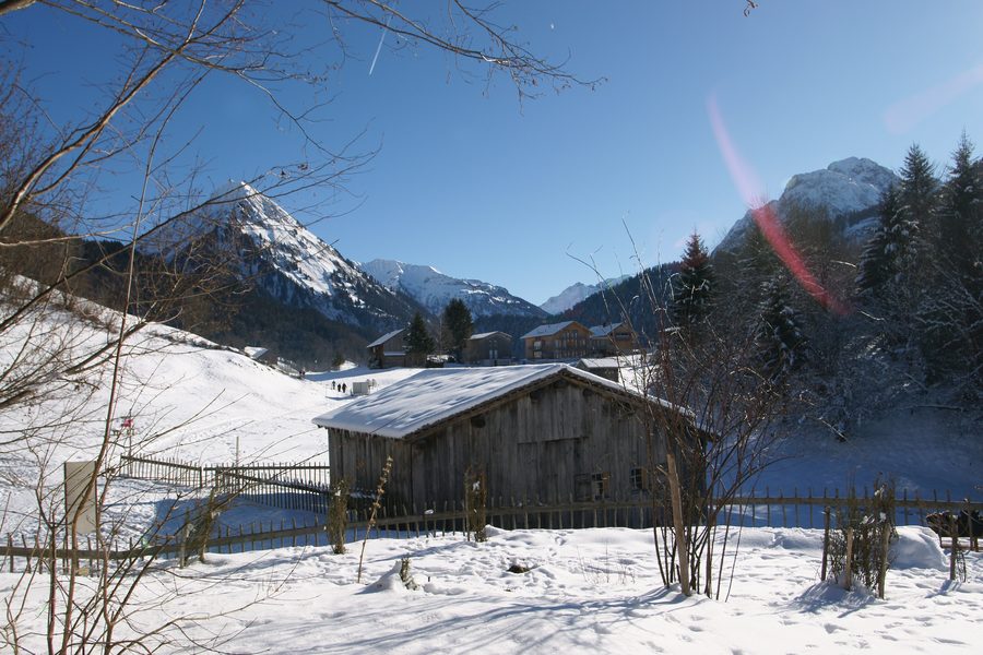 Historische Hütte im Natur-Erlebnis Holdamoos zwischen Au und Schoppernau vor alpiner Landschaft