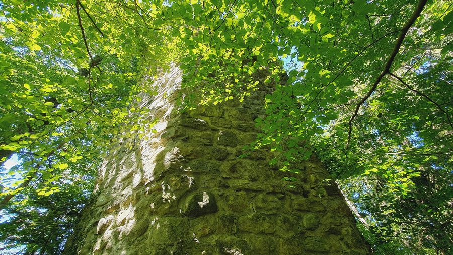 Tower of Alt-Hofen Castle Ruin in Lochau
