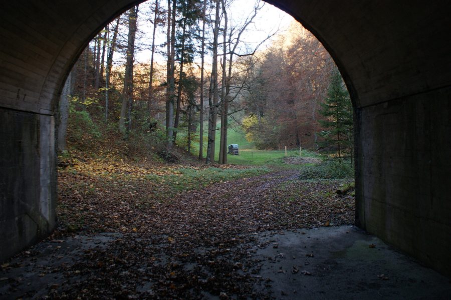Blick auf Fraxern in der Vorarlberger Berglandschaft
