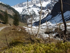 Aktive Ferien in Vorarlberg