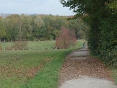 Erlebnis Natur in Vorarlberg