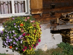 Familienferien in Vorarlberg