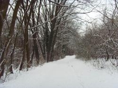 Hüttenferien in Vorarlberg