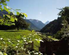 Mellau im Begenzerwald