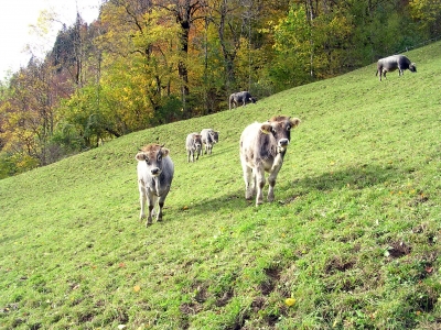 Ein Besuch im inatura in Dornbirn sollte man sich nicht entgehen lassen